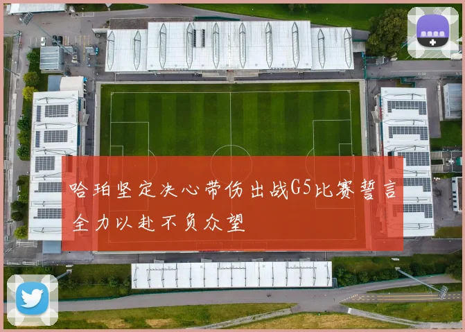 哈珀坚定决心带伤出战G5比赛誓言全力以赴不负众望